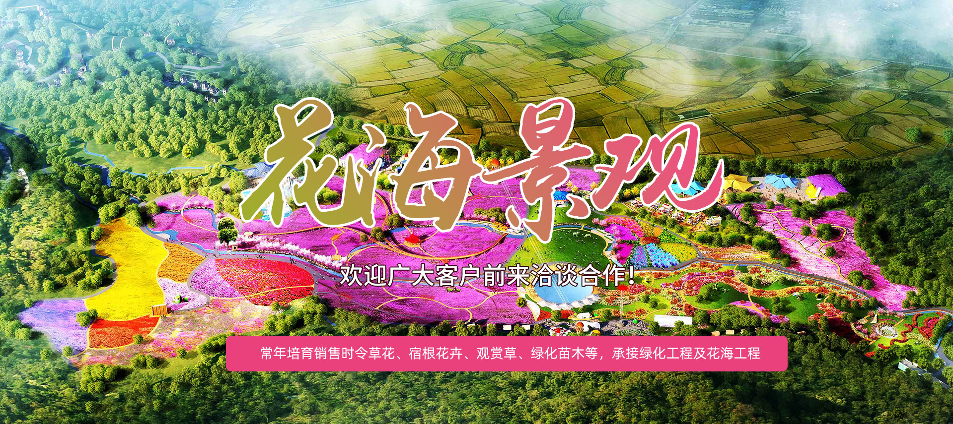  青州市珞涵花卉苗木有限公司