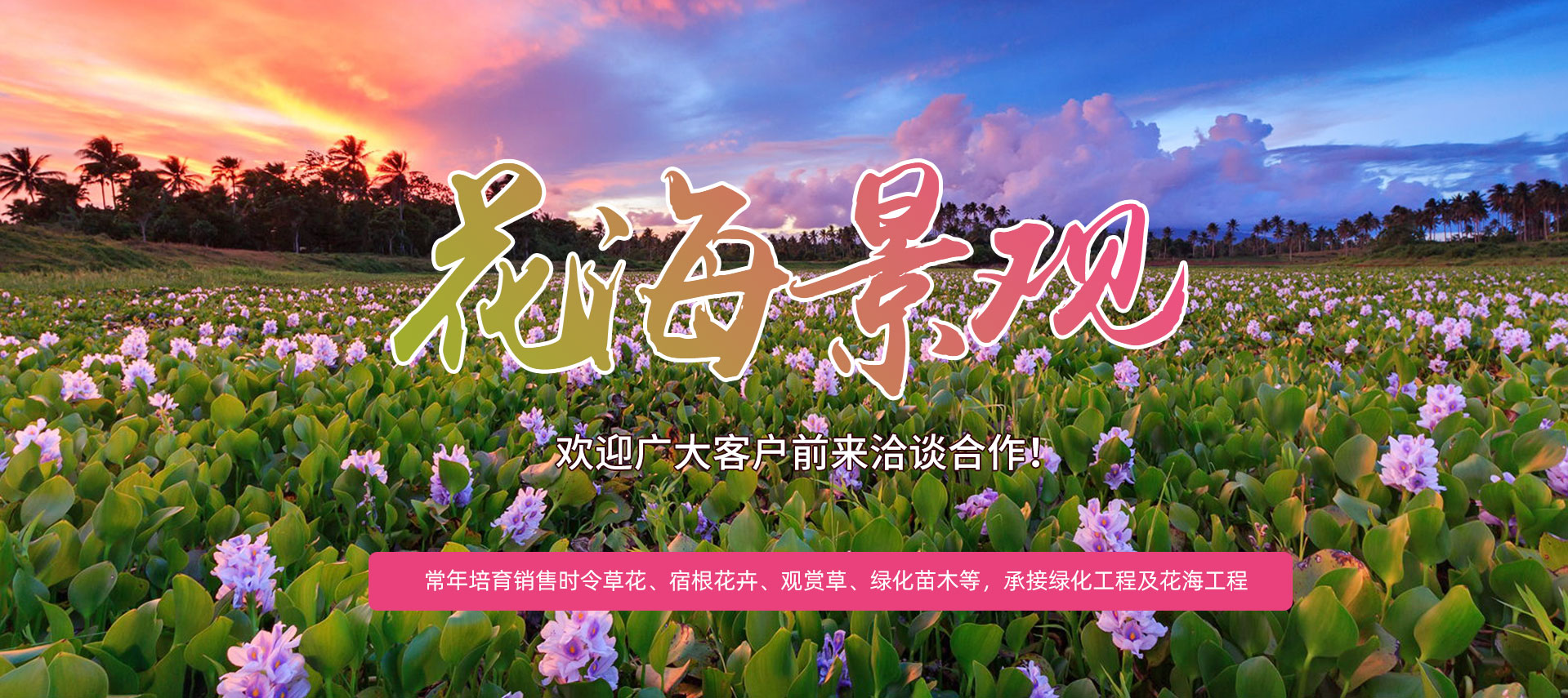 花卉苗木、水生植物、观赏草、年宵花销售