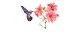 青州市珞涵花卉苗木有限公司